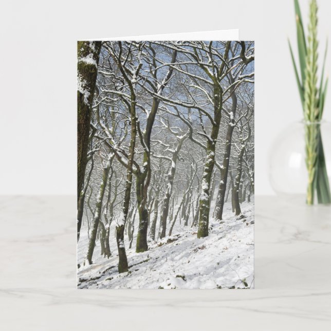 Macclesfield Forest Winter Karte (Vorderseite)