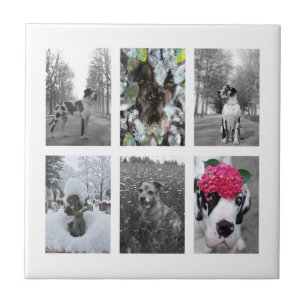 Mach es zu deinem Great Dane  Fliese