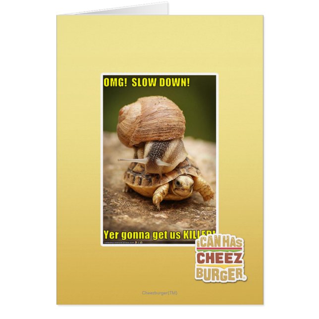 MACH! Langsam! (Vorne)