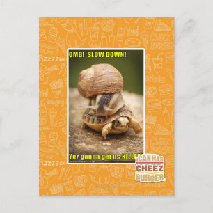 MACH! Langsam! Postkarte