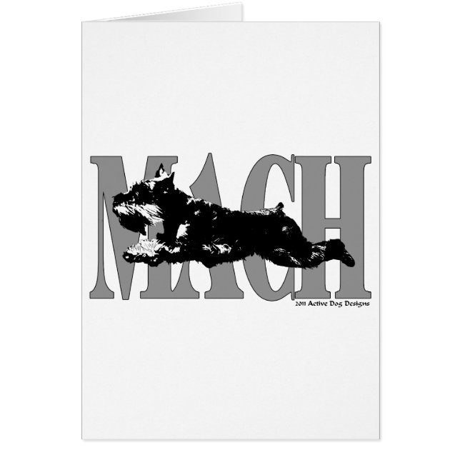 MACH Schnauzer (Vorne)