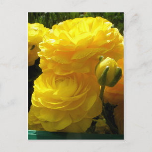 Mache mein Gelb Postkarte