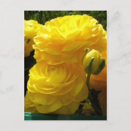 Mache mein Gelb Postkarte