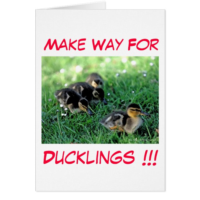Machen Sie den Weg für Ducklings!! (Vorne)