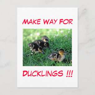 Machen Sie den Weg für Ducklings!! Postkarte