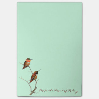 Machen Sie die die meisten von heute: Rufous Post-it Klebezettel