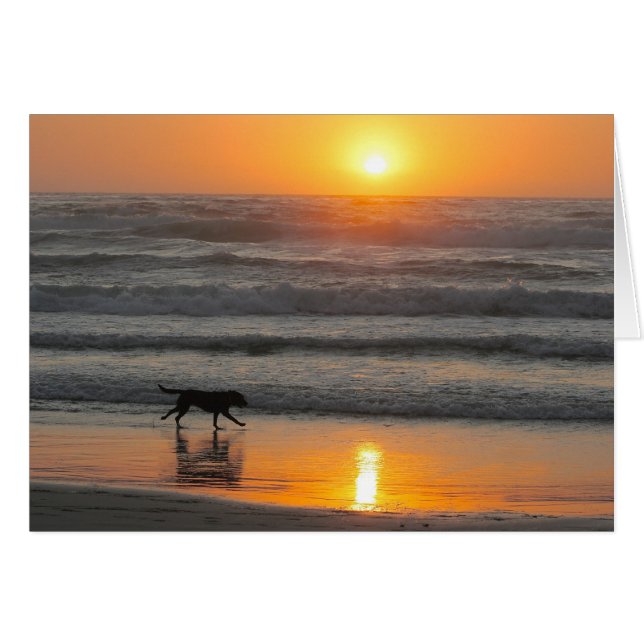 Machen Sie die die meisten von Ihrem Tag (Vorderseite (Horizontal))