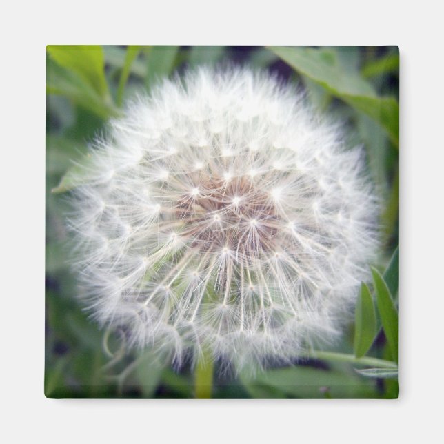 Machen Sie ein Wunschmagnet Magnet (Vorne)