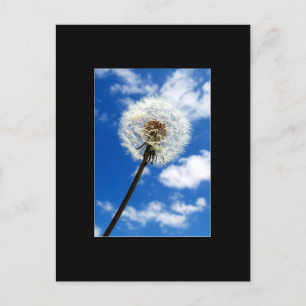 Machen Sie eine Wunschkunsthandelskarte von ACEO Postkarte