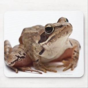 Machen Sie Frosch - Rana arvalis fest Mousepad