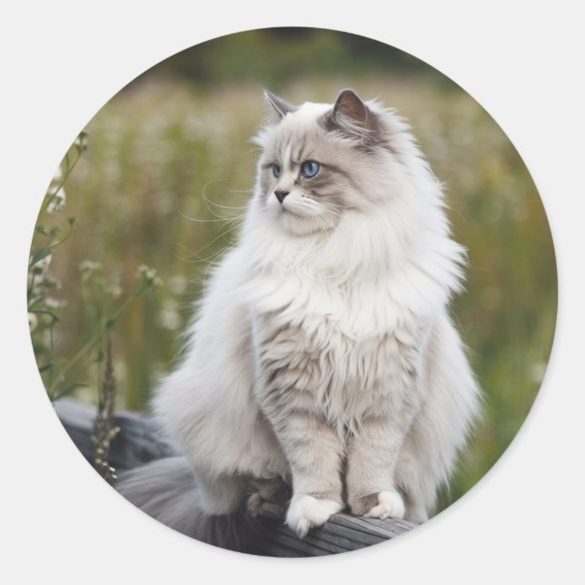 Machen Sie Ihr eigenes Foto Haustier Katze Tier Runder Aufkleber (Vorderseite)