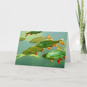 Machen Sie Ihre eigene Fotokarte Karte