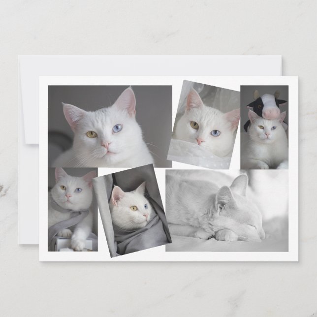 Machen Sie Ihre eigene Personalisierte Fotokassett Einladung (Vorderseite)