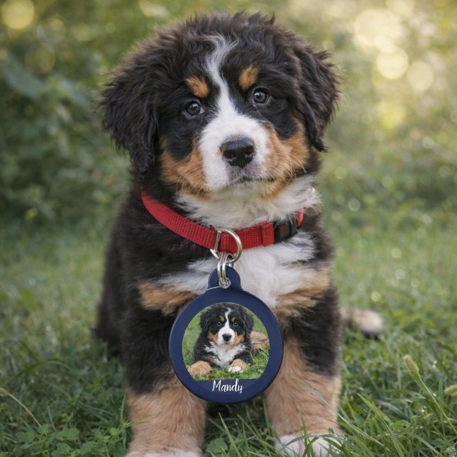 Machen Sie Ihre eigenen Foto-Kontaktdaten Tiernamensmarke (Make your own dog photo name contact information pet tag. )