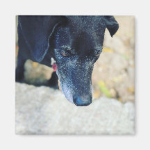 Machen Sie Ihre eigenen Lieblingsmagnete