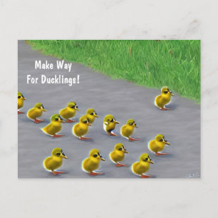 Machen Sie Platz für Ducklings! Postkarte