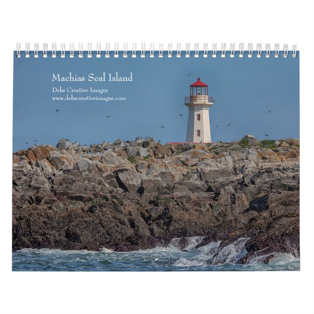 Machias Siegel Island (Puffins) 2026 Kalender (Titelbild)