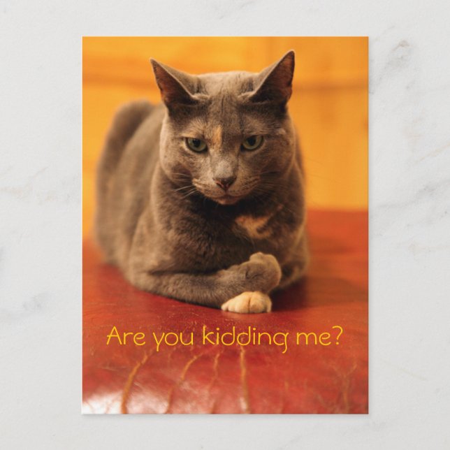 Machst du mir einen Witz? Postkarte (Vorderseite)