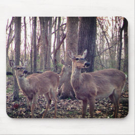 Macht auf dem Bauernhof Mousepad