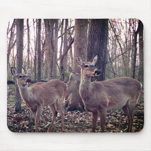 Macht auf dem Bauernhof Mousepad (Vorne)