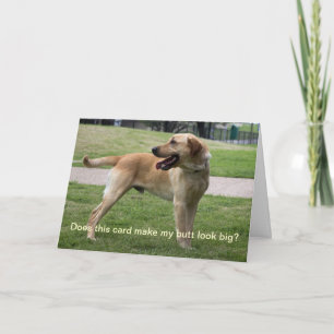 Macht diese Karte meinen Hintern groß aussehen?