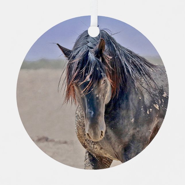 Mächtige Hengstverzierung Ornament Aus Metall (Vorderseite)