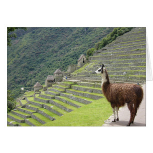Machu-Lama-Sicht