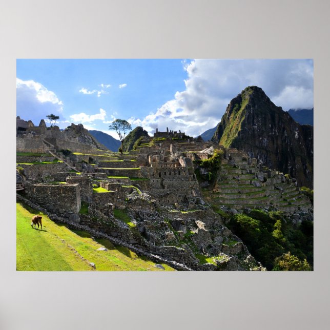 Machu Picchu am Nachmittag, Peru Poster (Vorne)