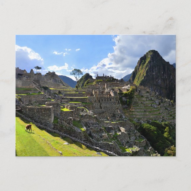 Machu Picchu Nachmittag, Peru Postkarte (Vorderseite)