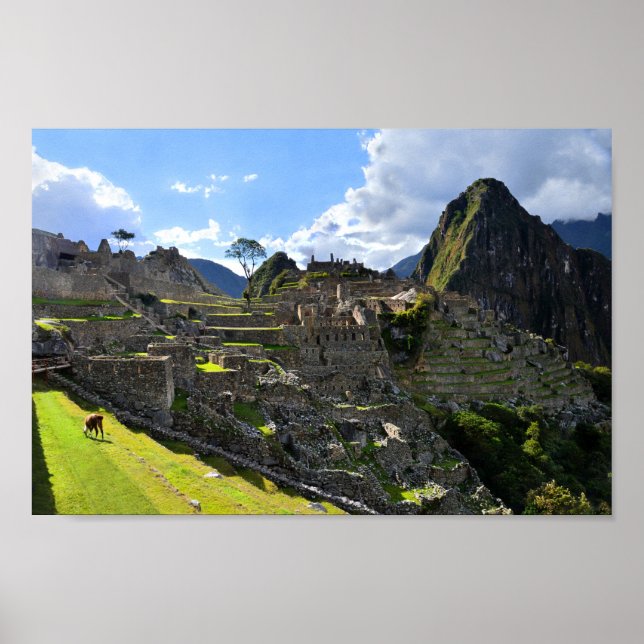 Machu Picchu Nachmittag Poster (Vorne)