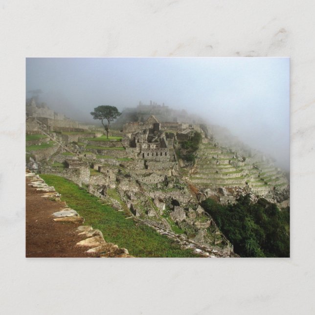Machu Picchu, Peru Postkarte (Vorderseite)