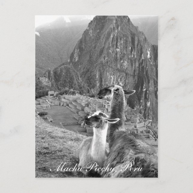 Machu Picchu Peru Postkarte (Vorderseite)