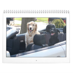 Mack u. Freund-Kalender 2010 Kalender