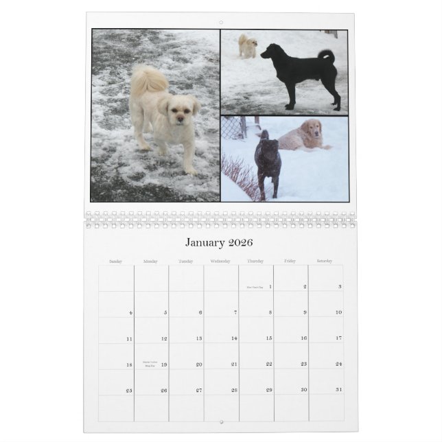 Mack und Freunde 2011 Kalender (Jan 2026)