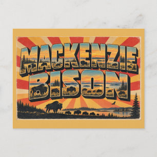 Mackenzie-Bisons NT Taiga-Ebenen-Schutzgebiet Kuns Postkarte