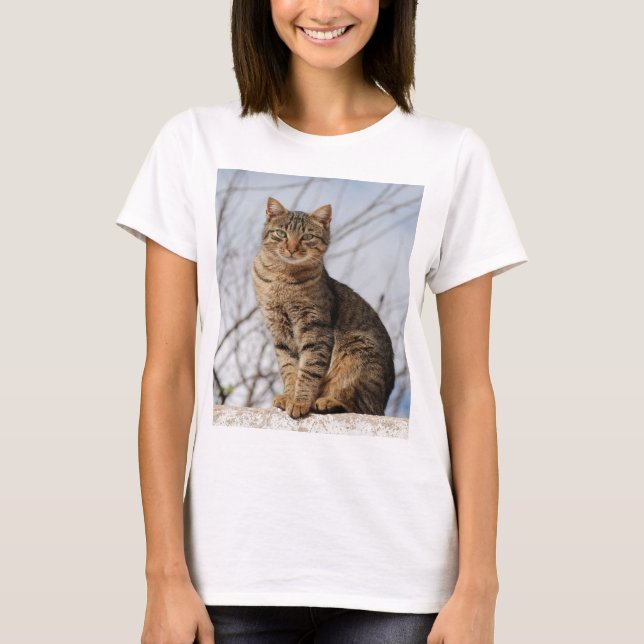 Mackerel Tabby Cat Women's T - Shirt (Vorderseite)