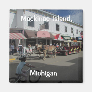 Mackinac Insel-Straßen-Szene Magnet