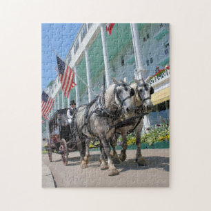 Mackinac Island Horse-Gezeichnet Carriage-11x14-25 Puzzle