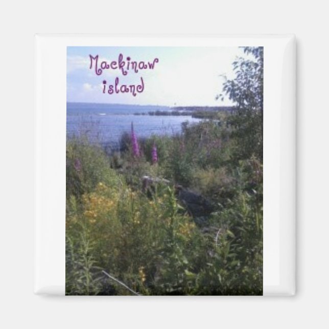 Mackinaw Island Magnet (Vorne)