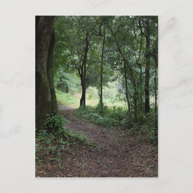 Maclay Gardens Postkarte (Vorderseite)