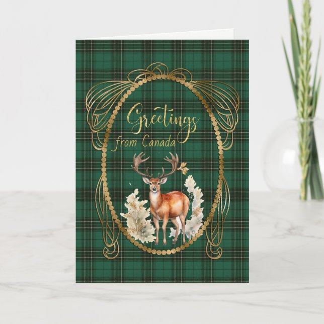 MacLean Hunting Scottish Tartan Greetings Feiertagskarte (Vorderseite)