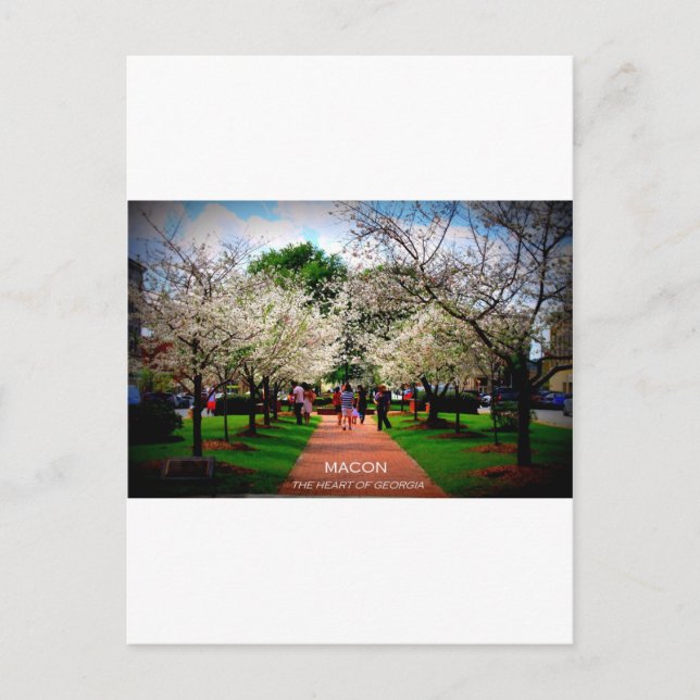 Macon, Georgien Postkarte (Vorderseite)