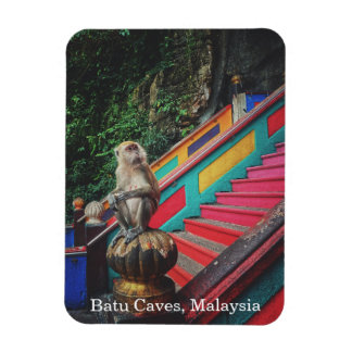 Macque Monkey at Batu Caves, Malaysia Travel Magnet