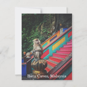 Macque Monkey at Batu Caves, Malaysia Travel Postkarte