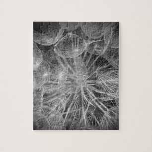 Macro Dandelion Puffball Nature Puzzle