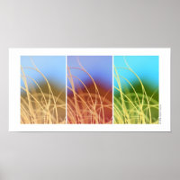 Macro Grass Trio