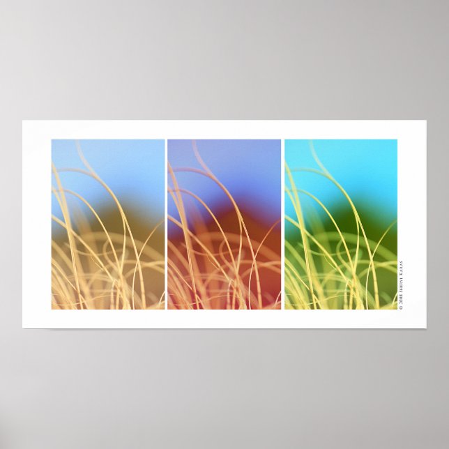Macro Grass Trio Poster (Vorne)