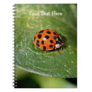 Macro Ladybug Nature Notebook Notizblock