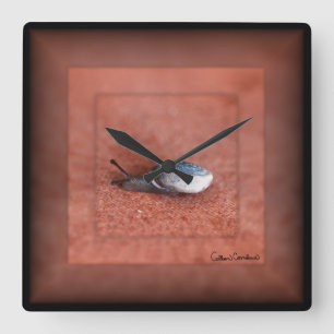 Macro Photograph of Snail on Terracotta Quadratische Wanduhr