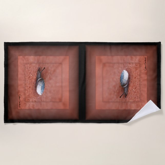 Macro Photograph of Snail on Terracotta Strandtuch (Vorderseite)